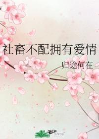社畜不配拥有爱情封面