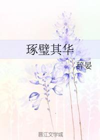 琢璧其华封面