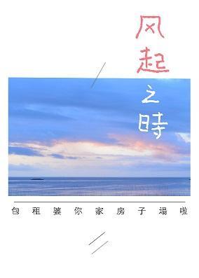 风起之时封面