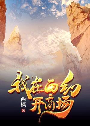 我在西幻开商场封面