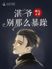 湛爷别那么暴躁封面