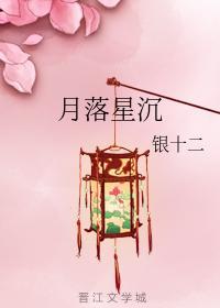月落星沈封面