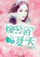 婉兮的夏天封面