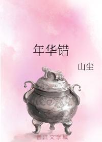 年华错封面