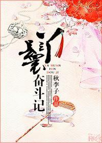 丫鬟奋斗记封面