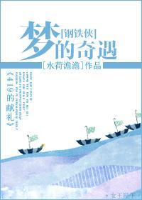 [钢铁侠]梦的奇遇封面