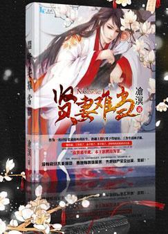 贤妻难当封面