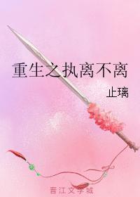 重生之执离不离封面