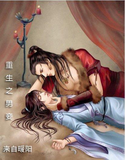 重生之男妾封面