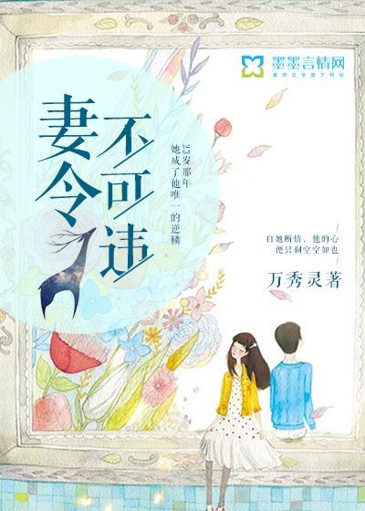 妻令不可违封面
