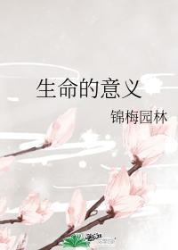 生命的意义封面