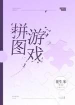 拼图游戏封面