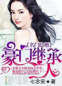 名门隐婚,豪门继承人封面