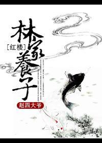 [红楼]林家养子封面