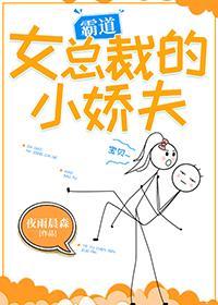 霸道女总裁的小娇夫[娱乐圈]封面