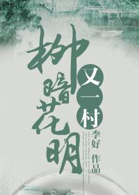 柳暗花明又一村封面