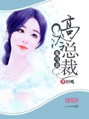 高冷总裁鬼马妻封面
