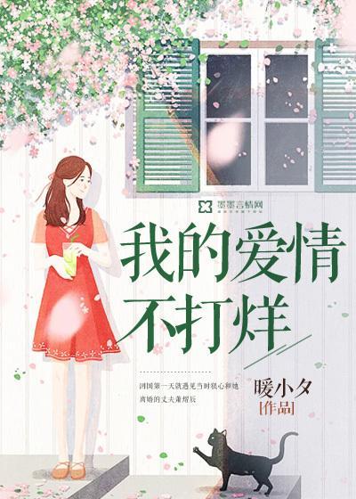 我的爱情不打烊封面