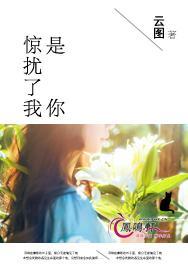 是你惊扰了我封面