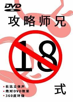 攻略师兄十八式封面