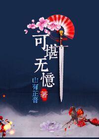 可堪无忆封面