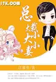 总裁大大小小妻封面