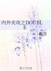 内外夹攻之DOUBLE封面