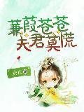 蒹葭苍苍,夫君莫慌封面