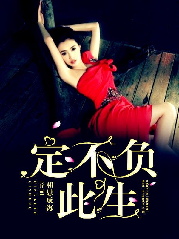 定不负此生封面