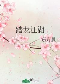 踏龙江湖封面