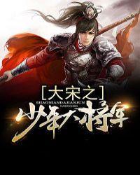 大宋之少年大将军封面