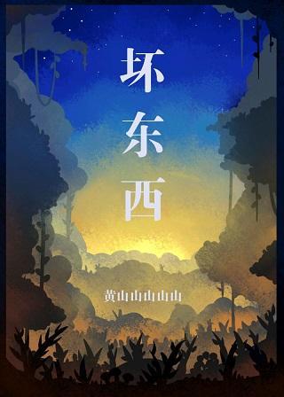 坏东西封面