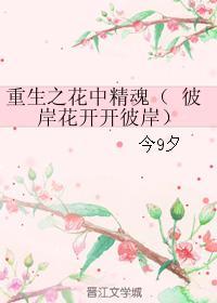 重生之花中精魂封面