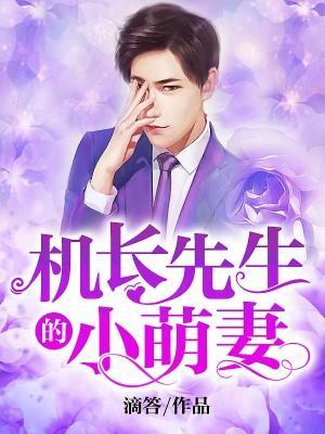 机长先生的小萌妻封面