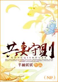 共妻守则封面