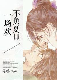 不负夏日一场欢封面