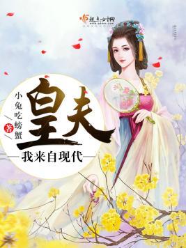 皇夫我来自现代封面