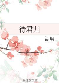 待君归封面