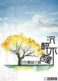 沈醉不醒封面