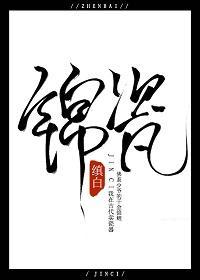 锦瓷封面
