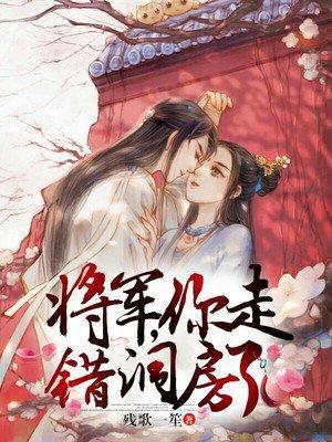 将军,你走错洞房了-残歌一笙封面