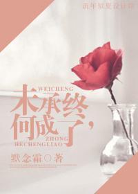 未承终,何成了封面
