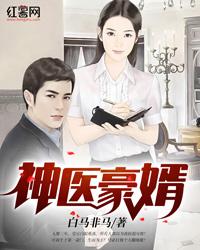 神医豪婿封面