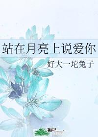 站在月亮上说爱你封面