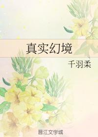真实幻境封面