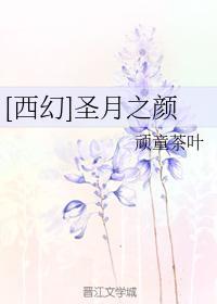 [西幻]圣月之颜封面