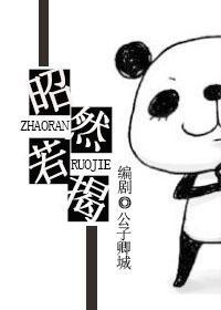 昭然若揭封面