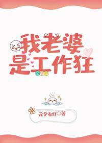我老婆是工作狂封面