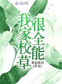 我家校草很全能封面