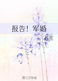 报告！军婚封面